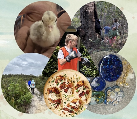 Program collage
