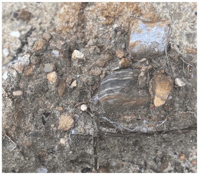 Rock hunting